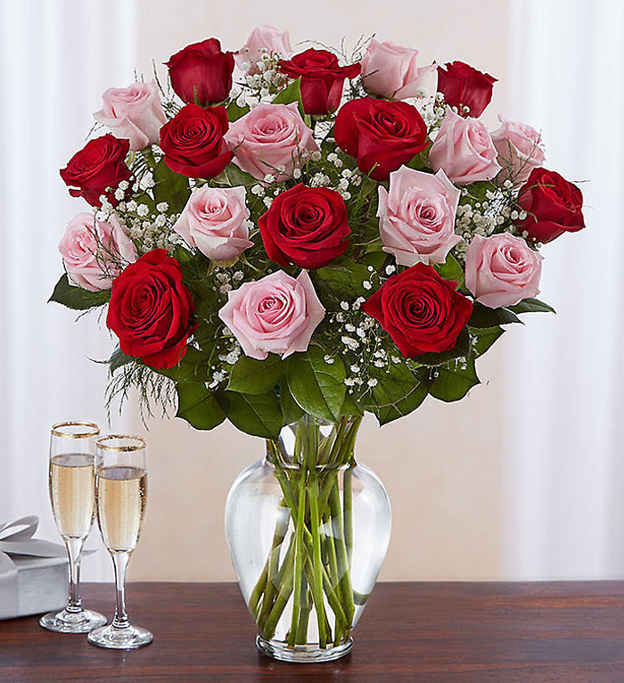 2 Dozen Pink &#038; Red Rose Vase