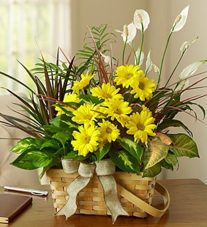 Dish Garden With Cut Flowers