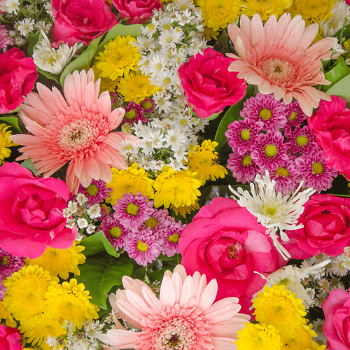 Beautiful Seasonal Mixed Flowers in Vase