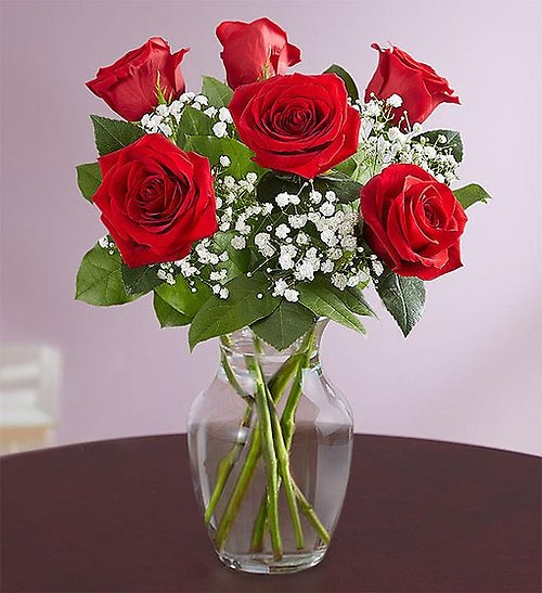 Forever Thoughts Half Dozen Roses