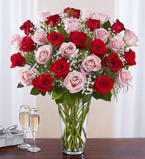 3 Dozen Pink and Red Rose Vase