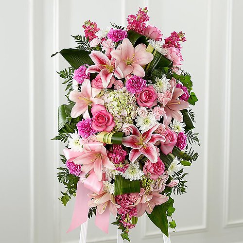 Pink Perfection Spray