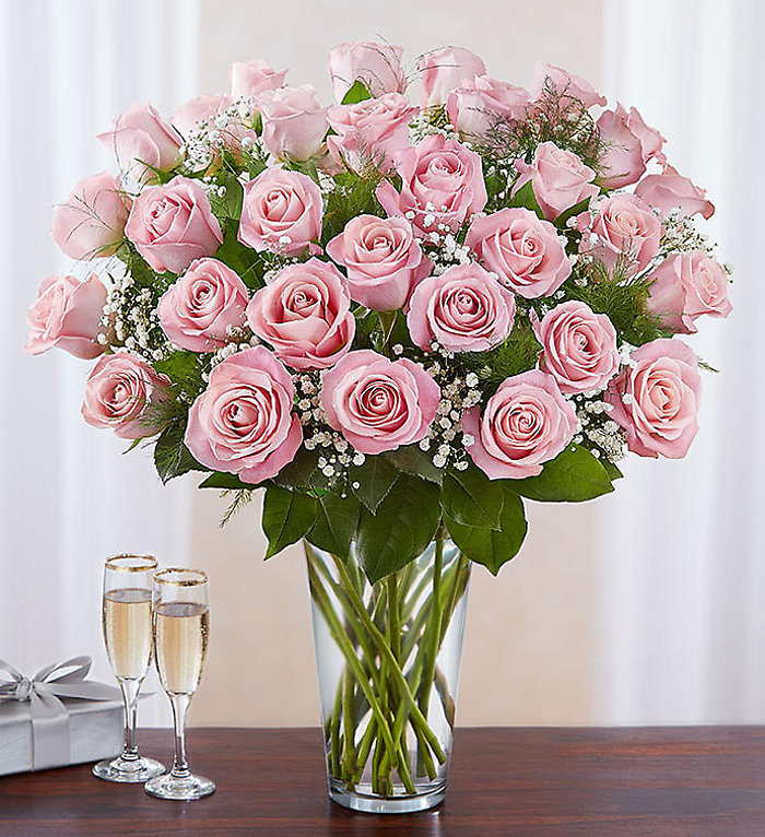 3 Dozen Pink Rose Vase