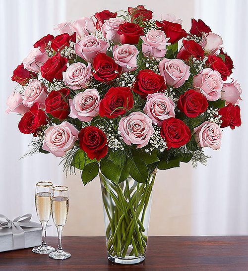 4 Dozen Red and Pink Rose Vase