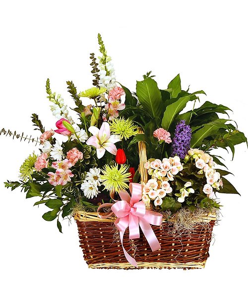 Peace Lily and Flower Basket
