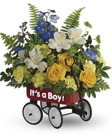 Baby Wagon (Available in baby girl or baby boy)