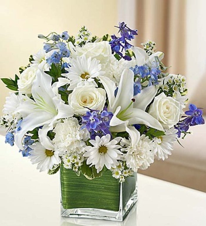 Healing Tears Blue and White