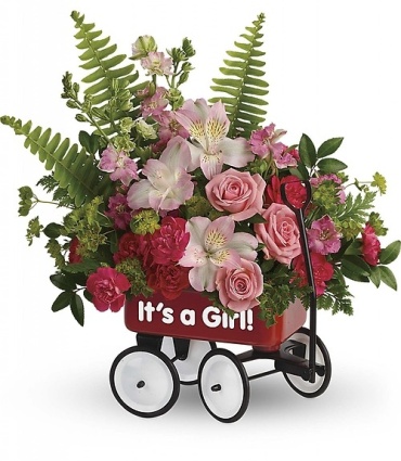 Baby Wagon (Available in baby girl or baby boy)