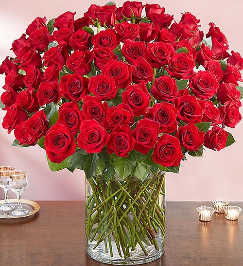 100 Red Rose Vase
