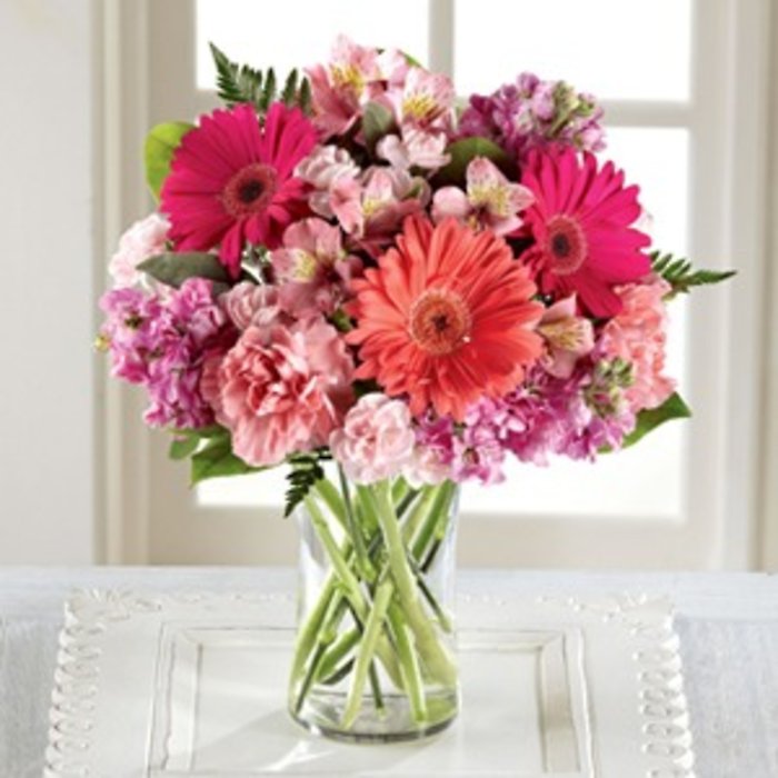 Gerbera Beauty