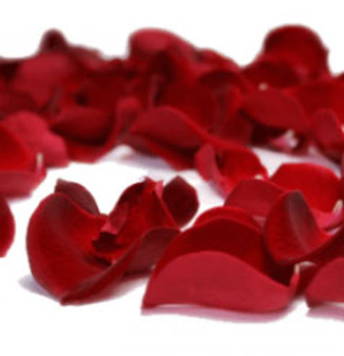 Bag of Fresh Red Rose Petals