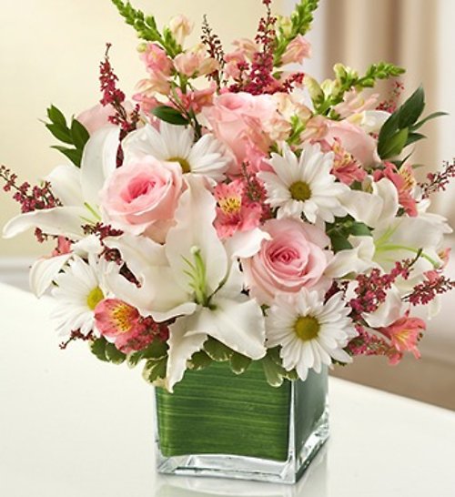 Loving Thoughts in Pink &#038; White