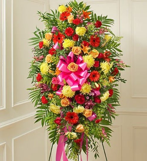 Bright Colors Standing Spray