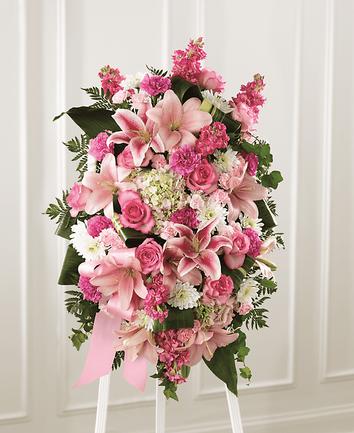 Gentle in Pink Spray