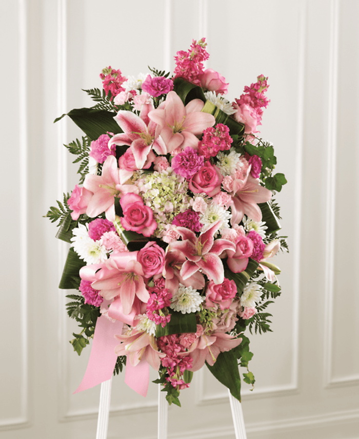 Gentle in Pink Spray