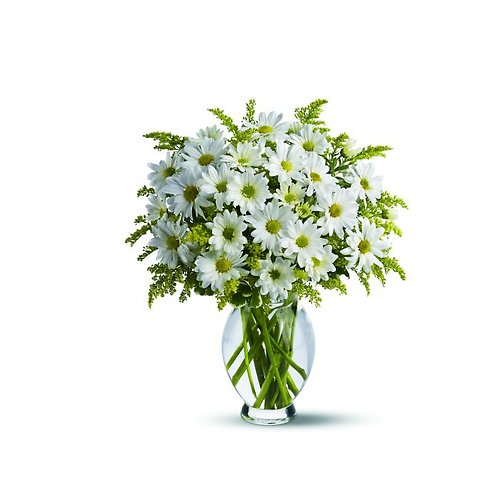 All White Daisy Days Vase