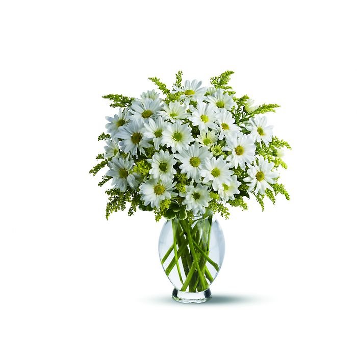 All White Daisy Days Vase