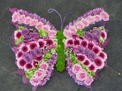 Pastel Butterfly Tribute