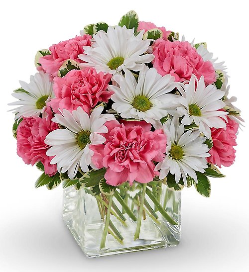 Daisy Dreams Bouquet