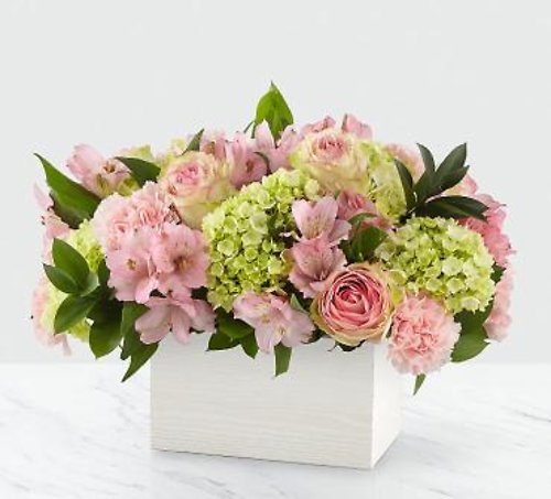 Today Sale Sweet Charm Bouquet