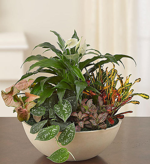 Rocky Woods Planter