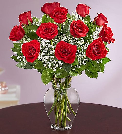 Premium Red Rose Dozen