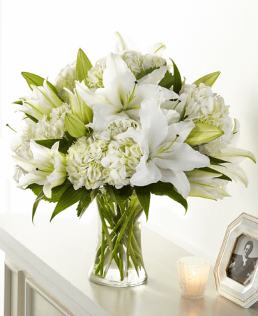 Compassionate Lily