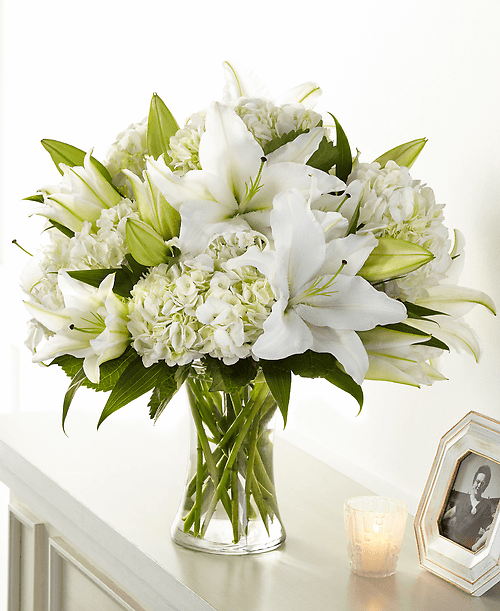 Compassionate Lily