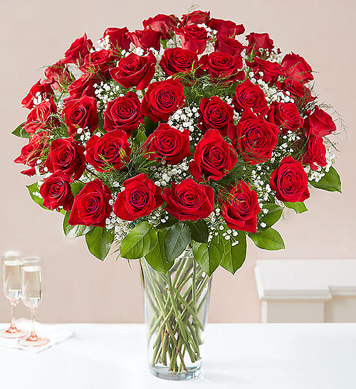 4 Dozen Red Rose Vase