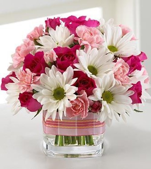 Pink Posies