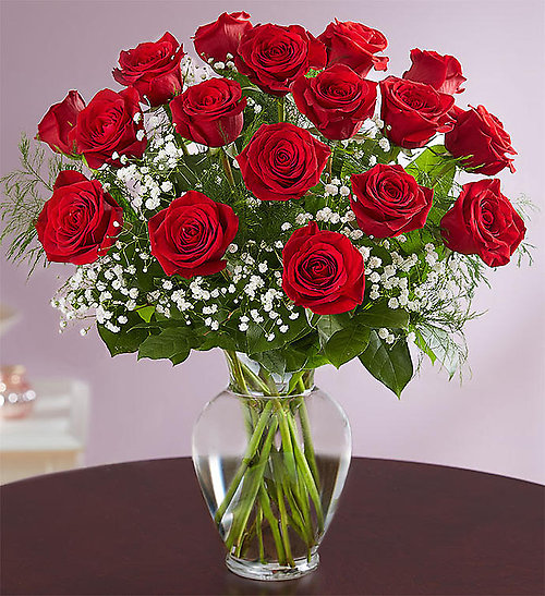Rose Elegance 18 Premium Long Stem Red Roses