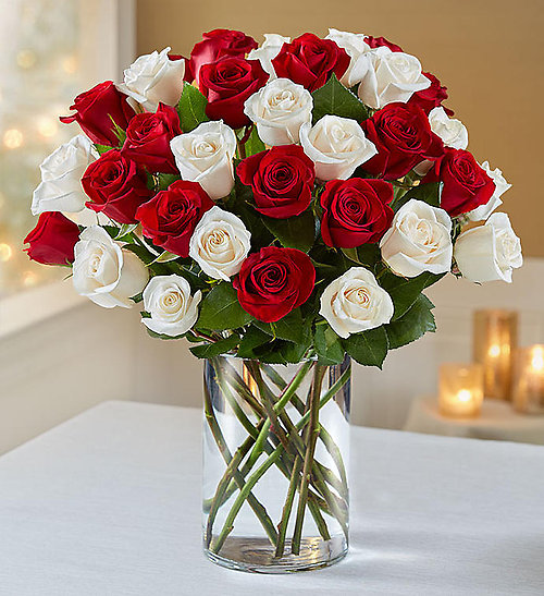 2 Dozen Red and White Rose Vase