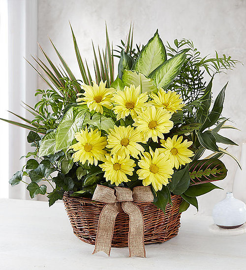 Grand Garden Planter With Daisy